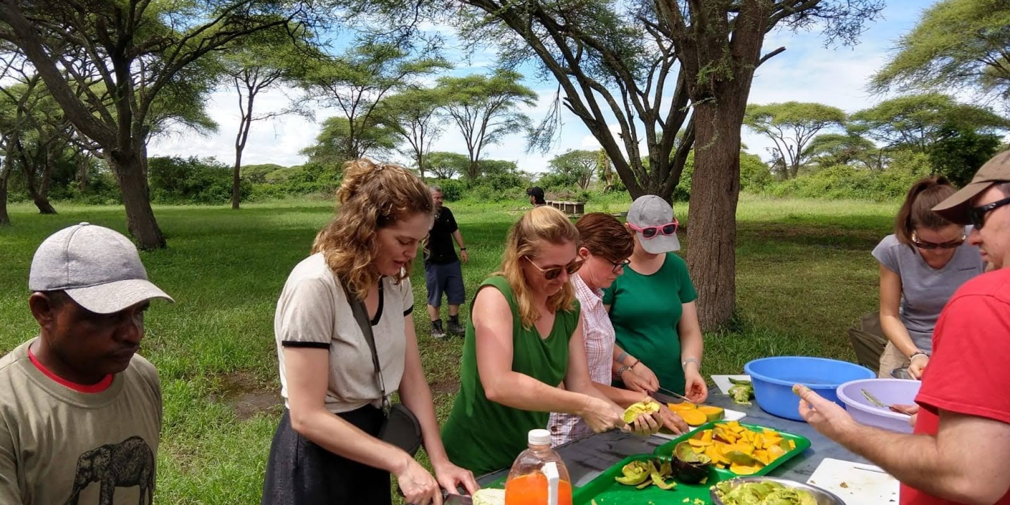 Lunch break at a picnic site